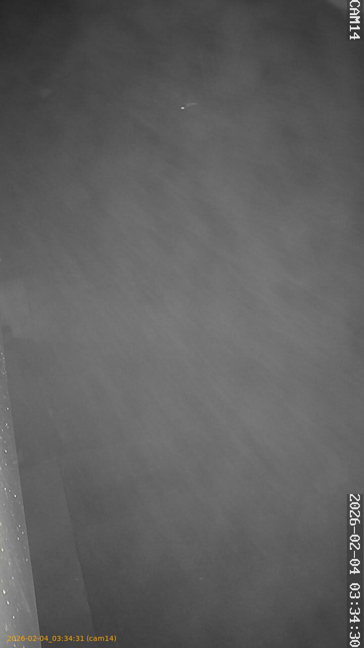 thumbnail_20260204033431