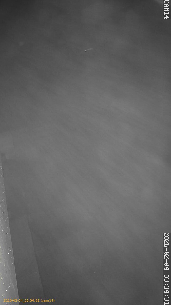 thumbnail_20260204033432