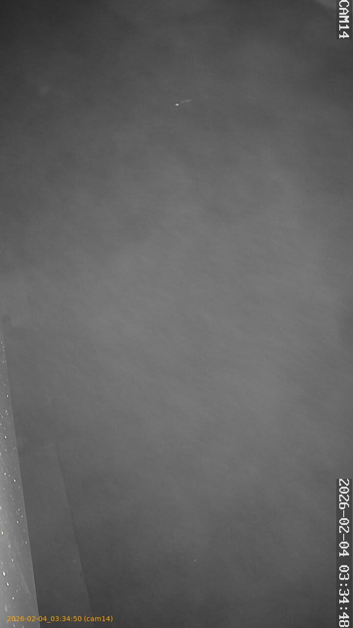 thumbnail_20260204033450