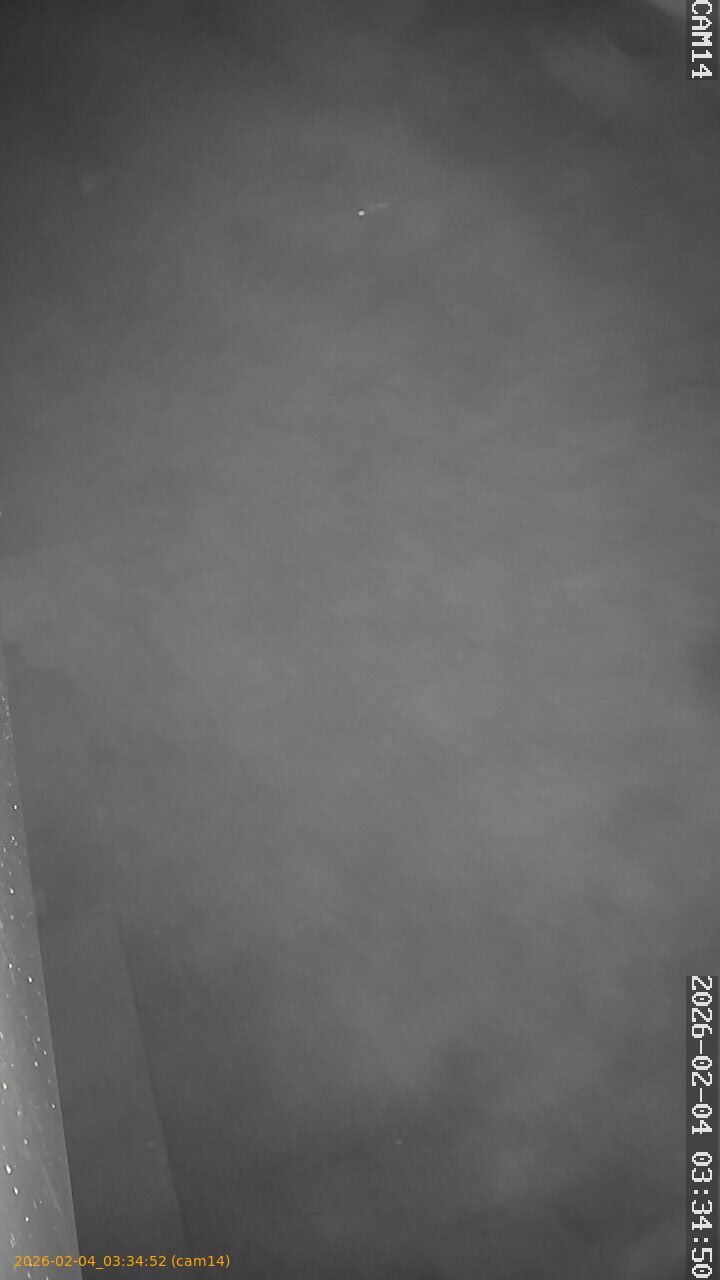 thumbnail_20260204033452