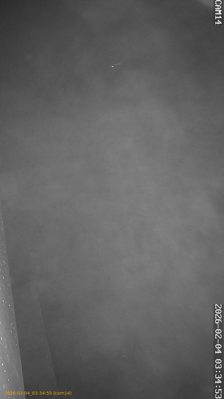 thumbnail_20260204033455