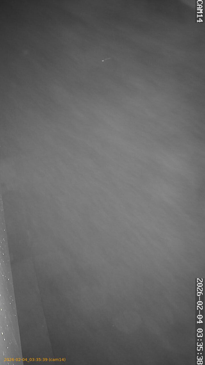 thumbnail_20260204033539