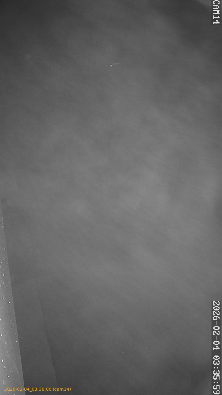 thumbnail_20260204033600