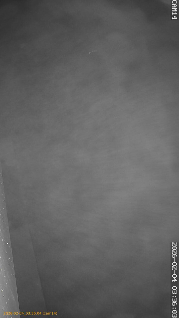 thumbnail_20260204033604