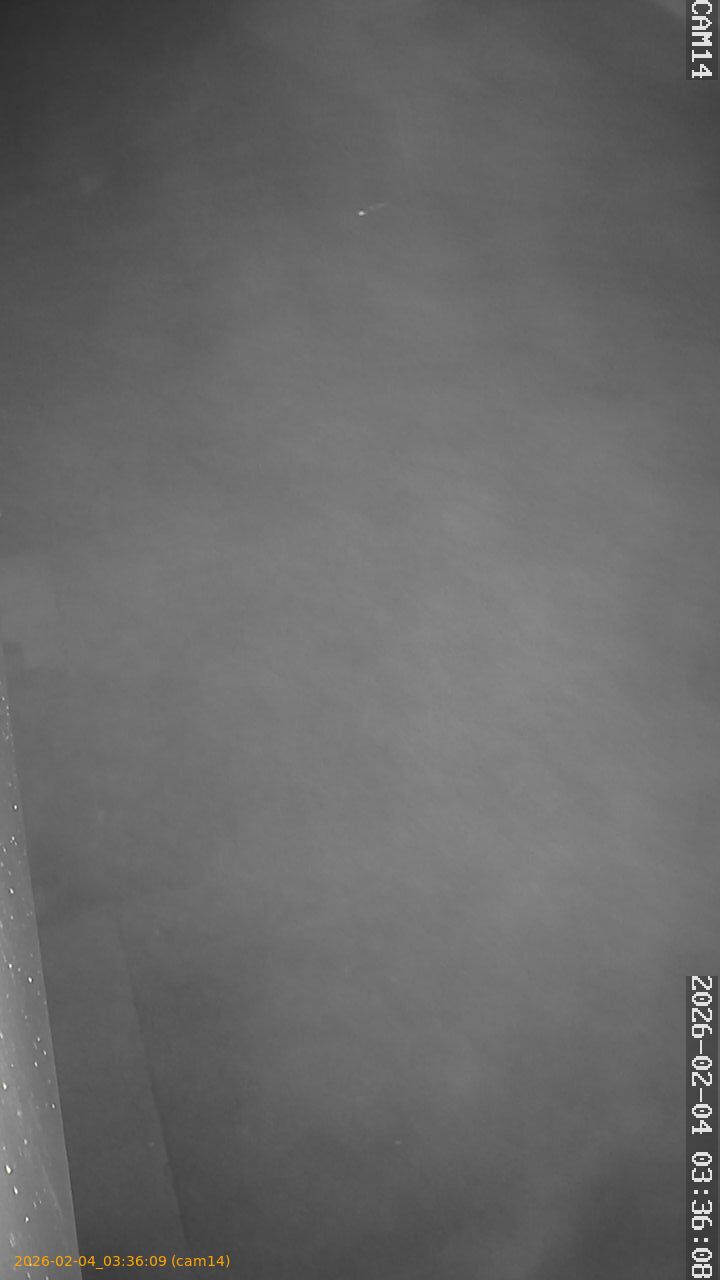 thumbnail_20260204033609