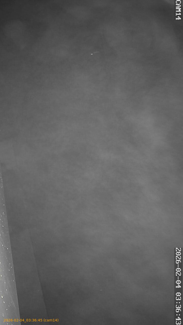 thumbnail_20260204033644