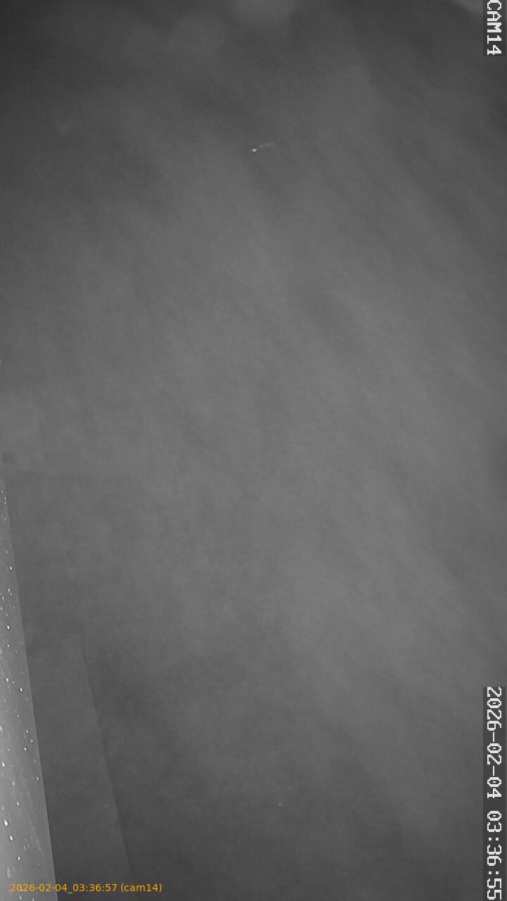 thumbnail_20260204033657