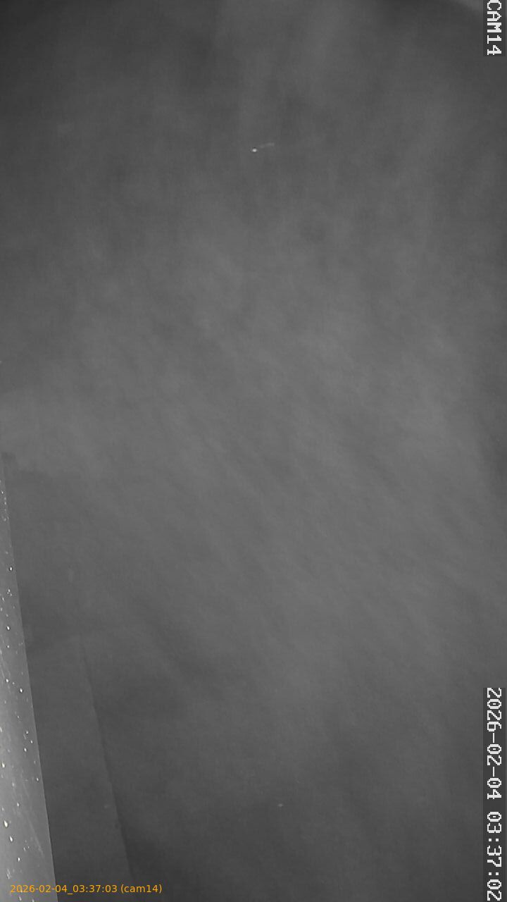 thumbnail_20260204033703