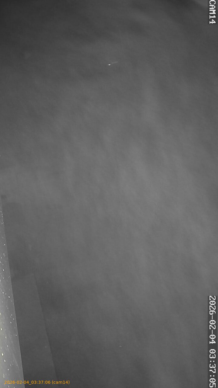 thumbnail_20260204033706