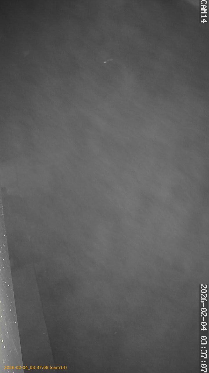 thumbnail_20260204033708