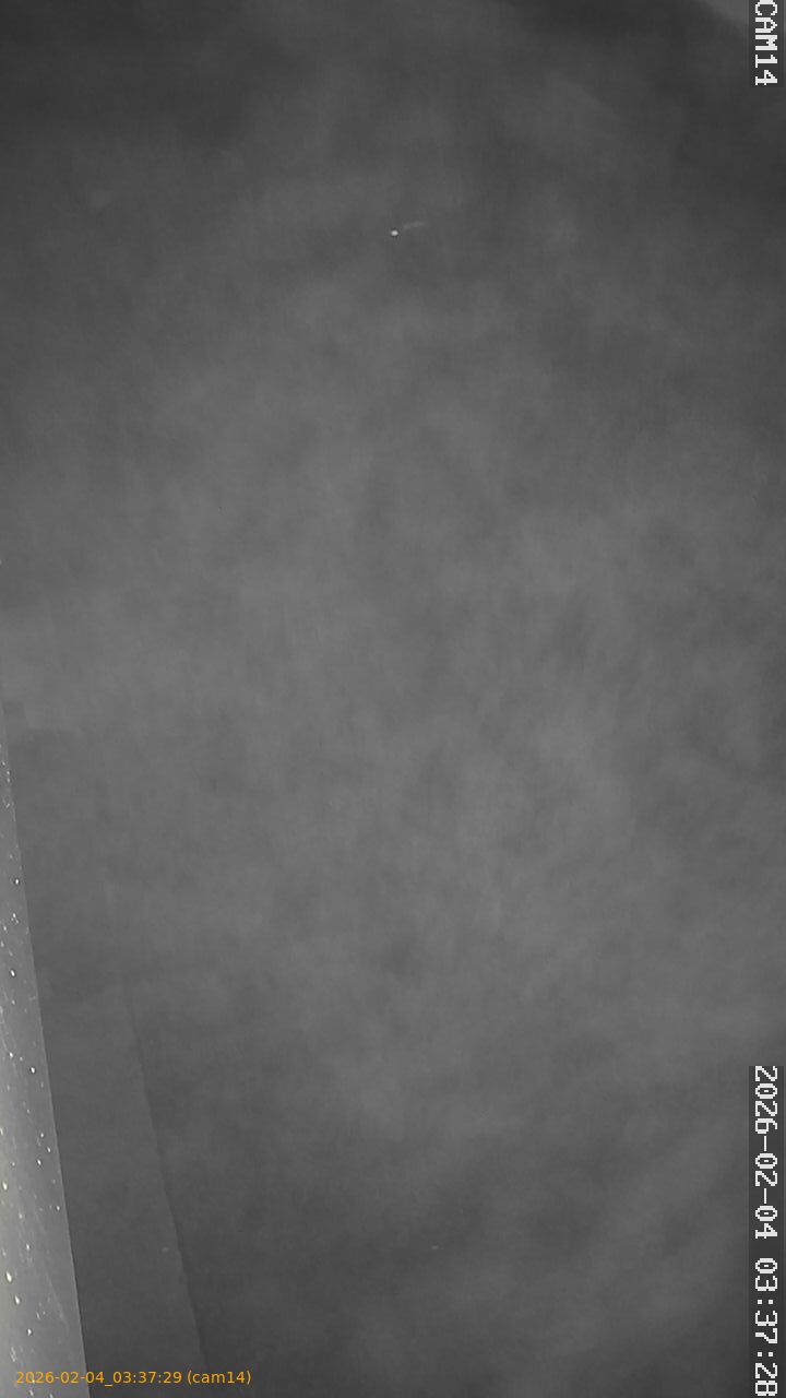 thumbnail_20260204033729