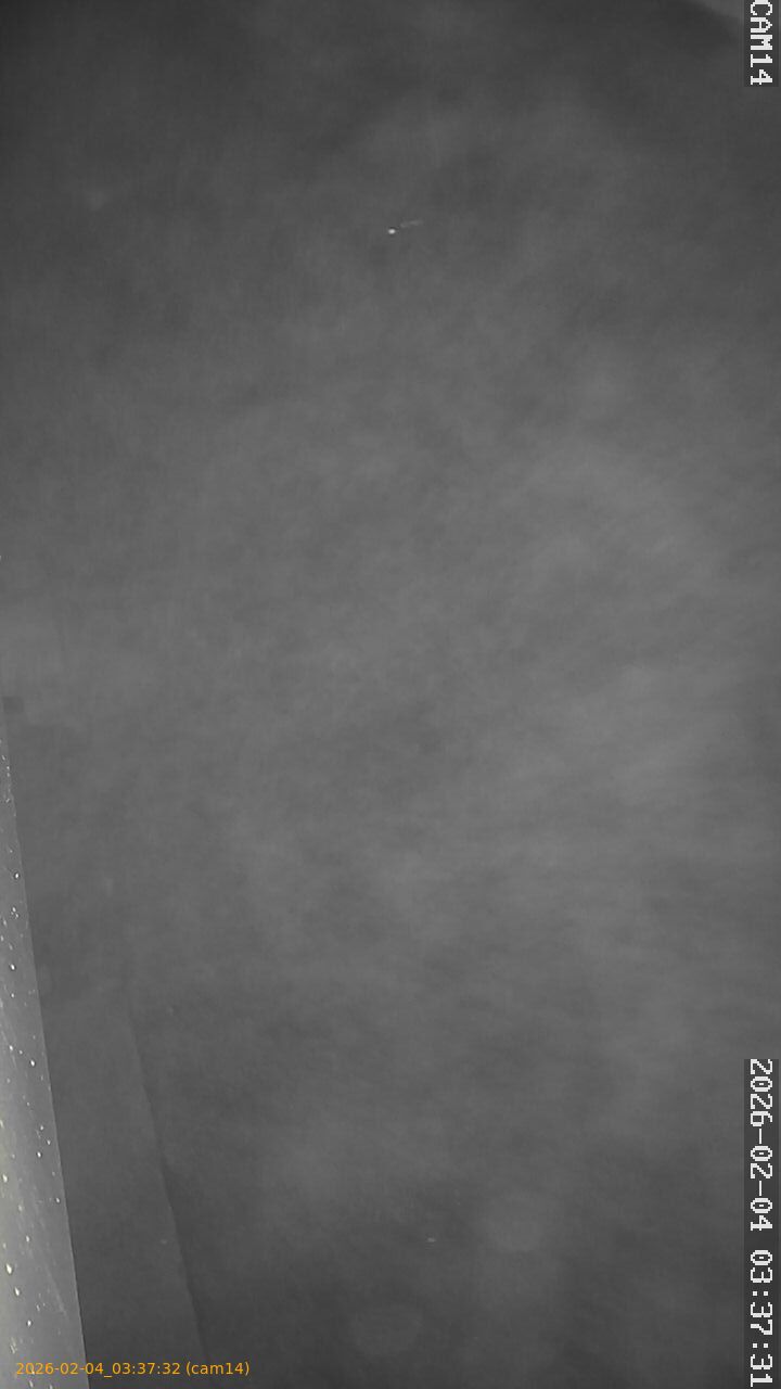 thumbnail_20260204033732