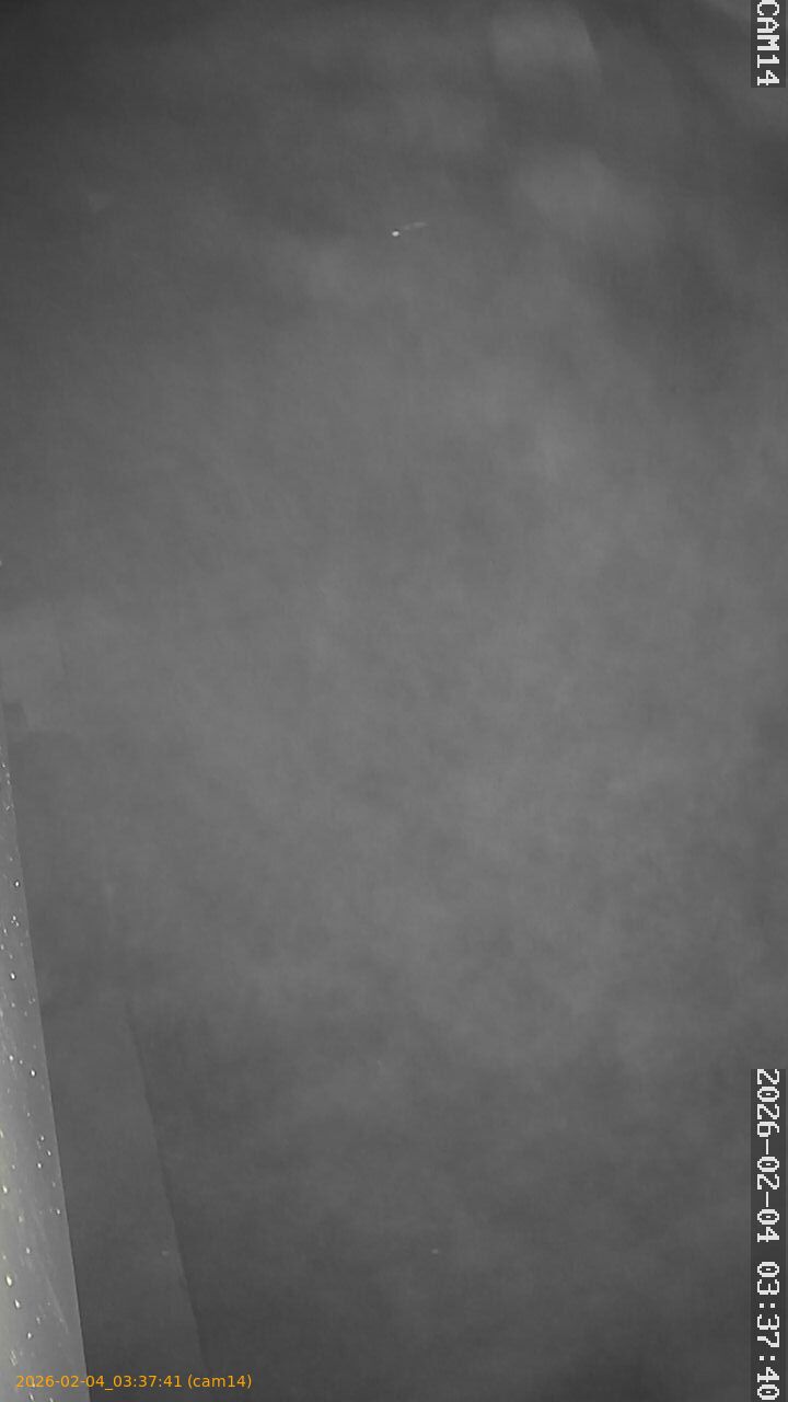 thumbnail_20260204033741