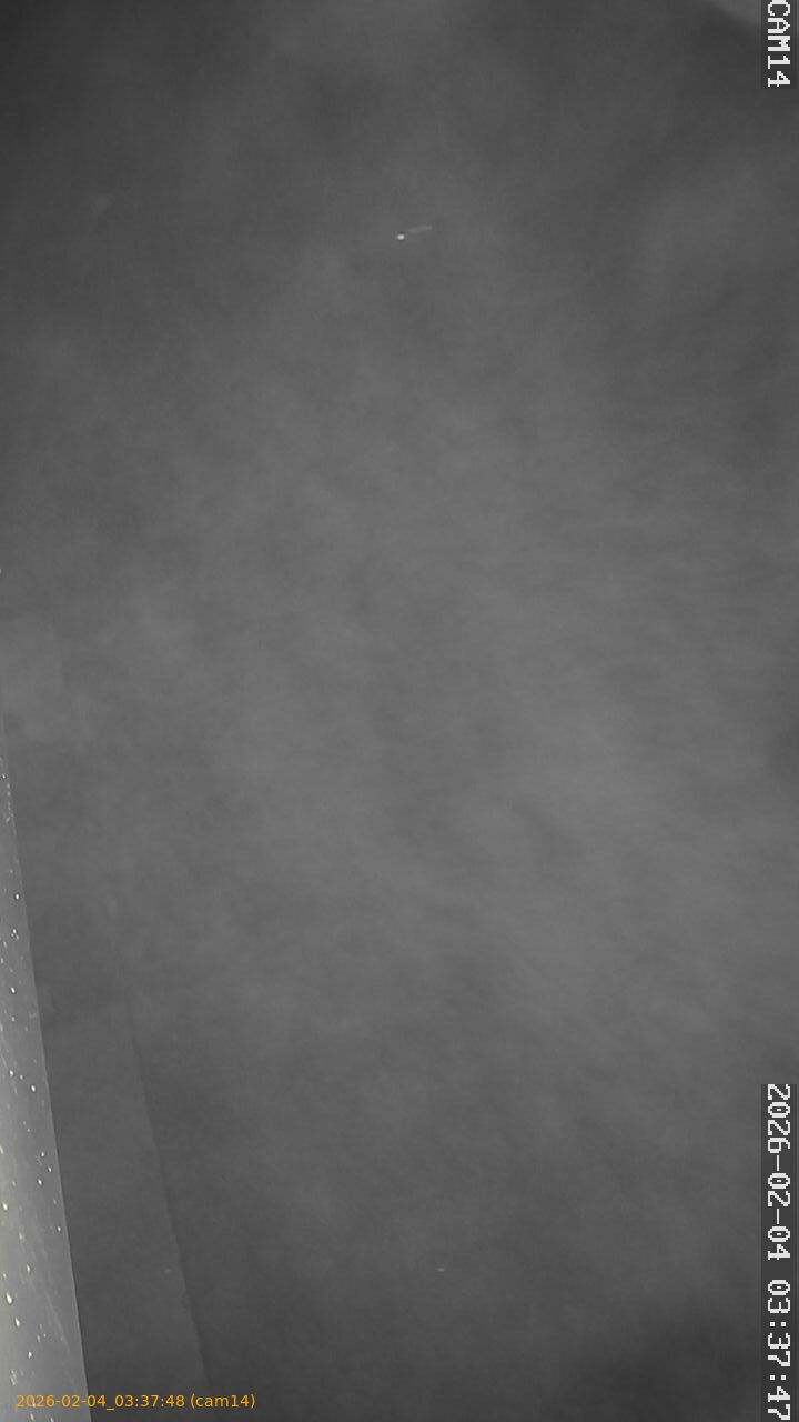 thumbnail_20260204033748