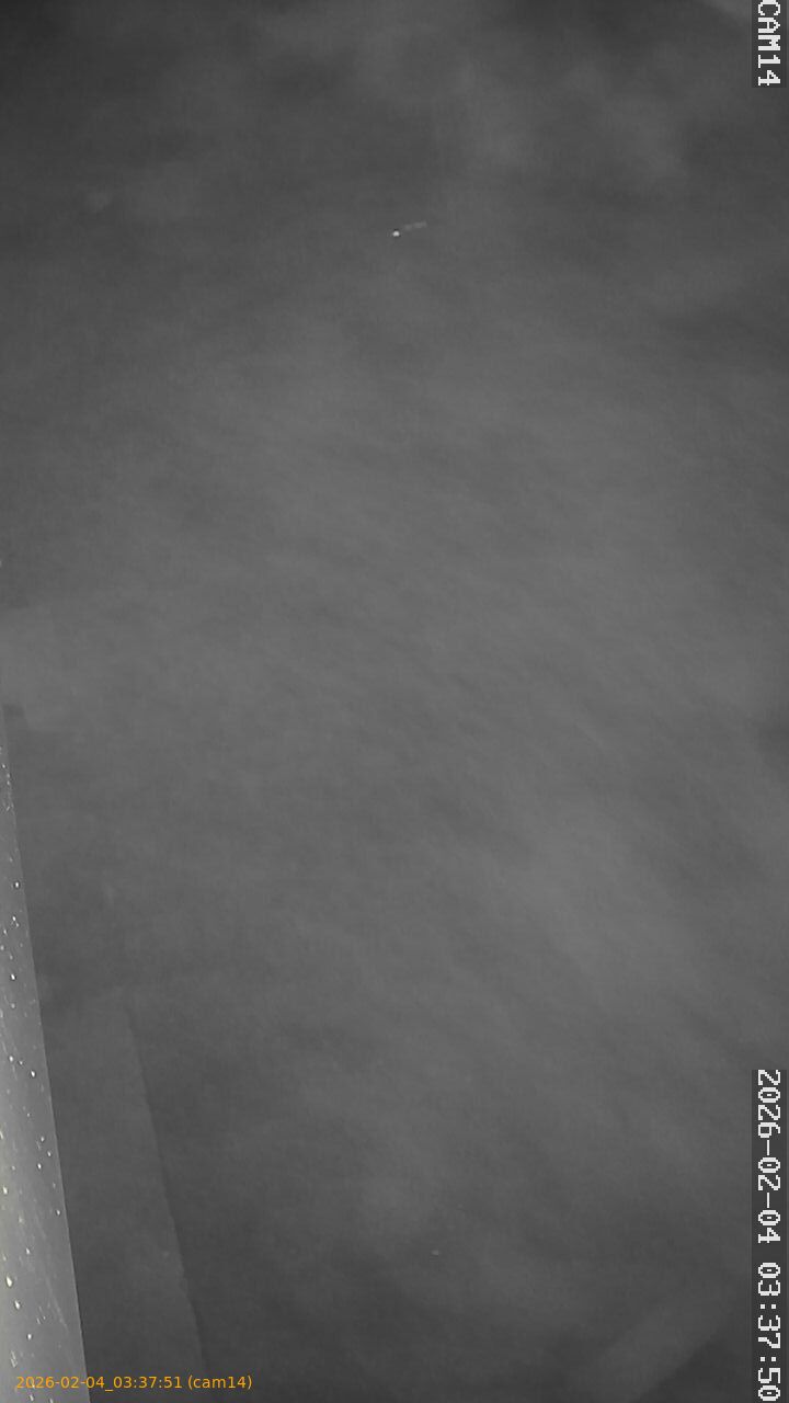 thumbnail_20260204033751