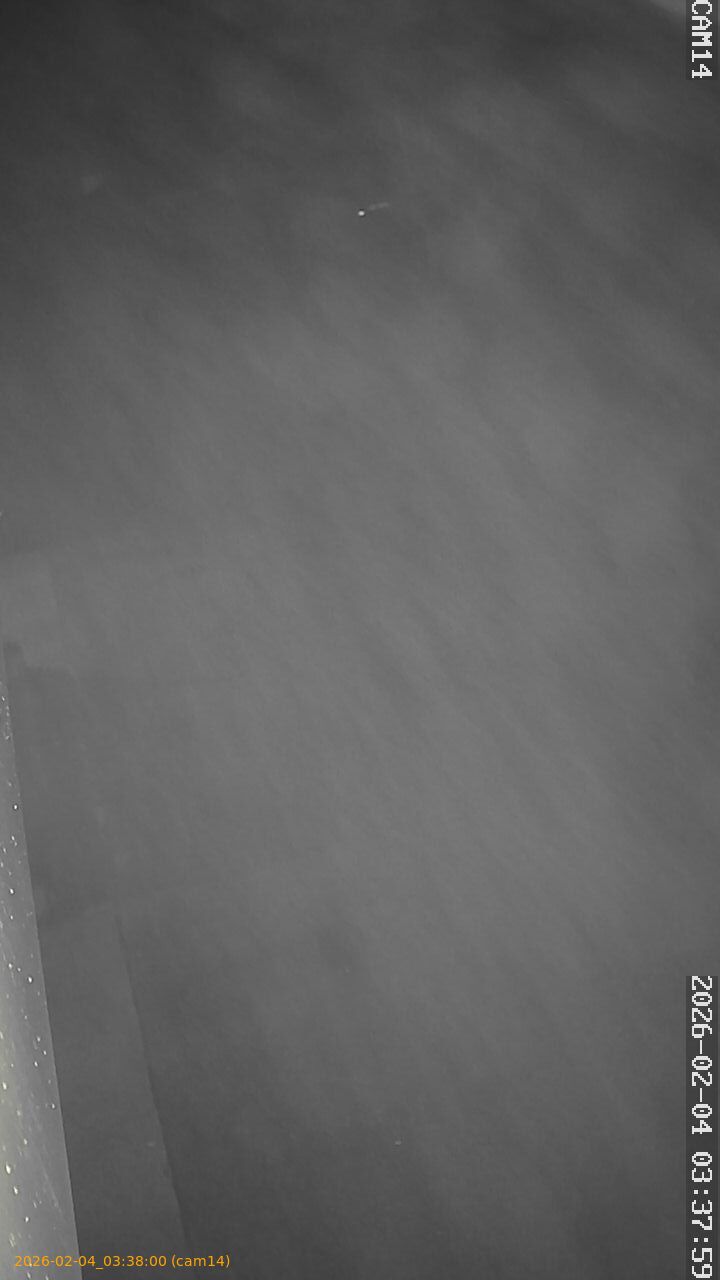 thumbnail_20260204033800