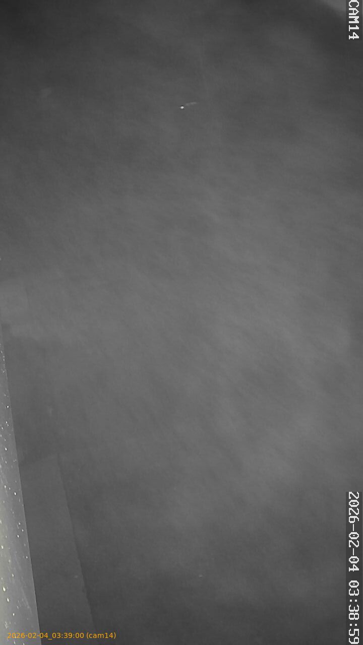 thumbnail_20260204033900