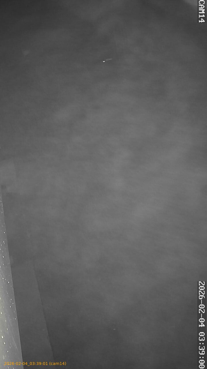 thumbnail_20260204033901