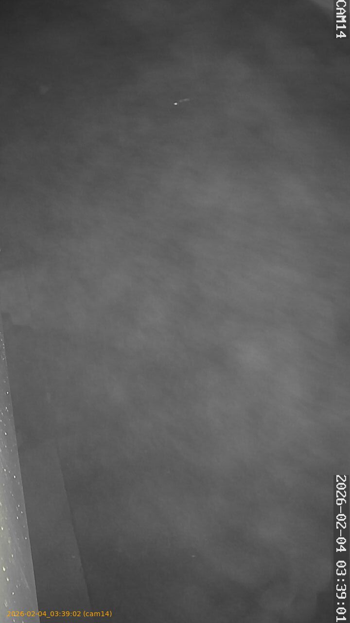 thumbnail_20260204033902