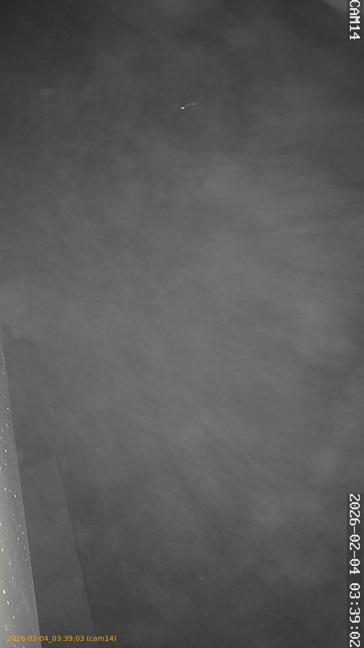 thumbnail_20260204033903