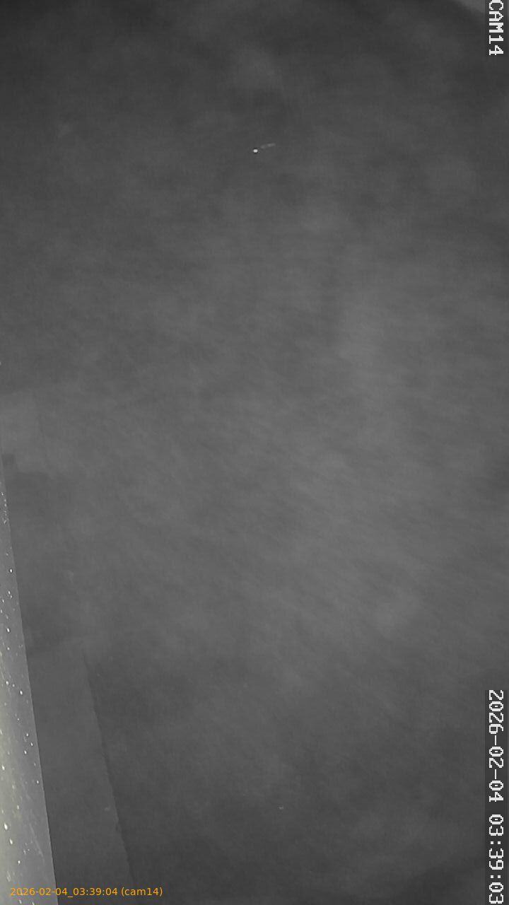 thumbnail_20260204033904