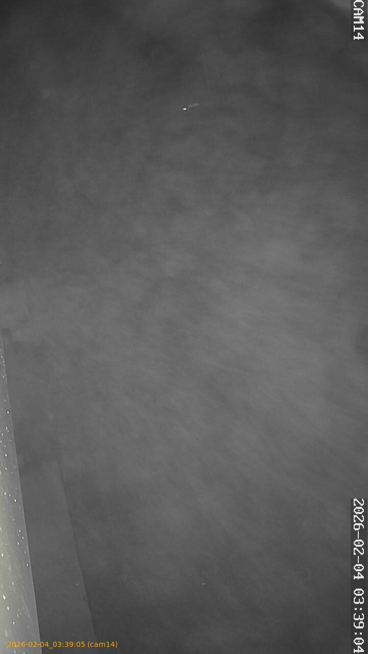 thumbnail_20260204033905