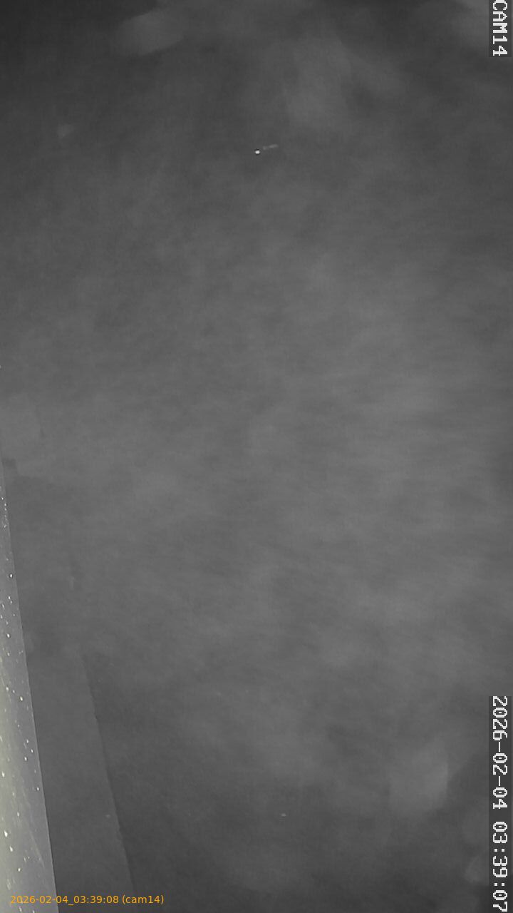 thumbnail_20260204033908