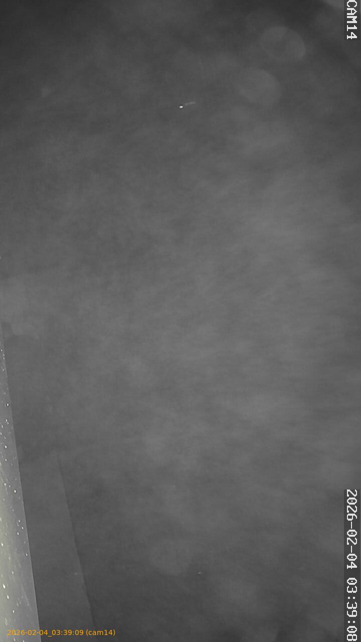 thumbnail_20260204033909