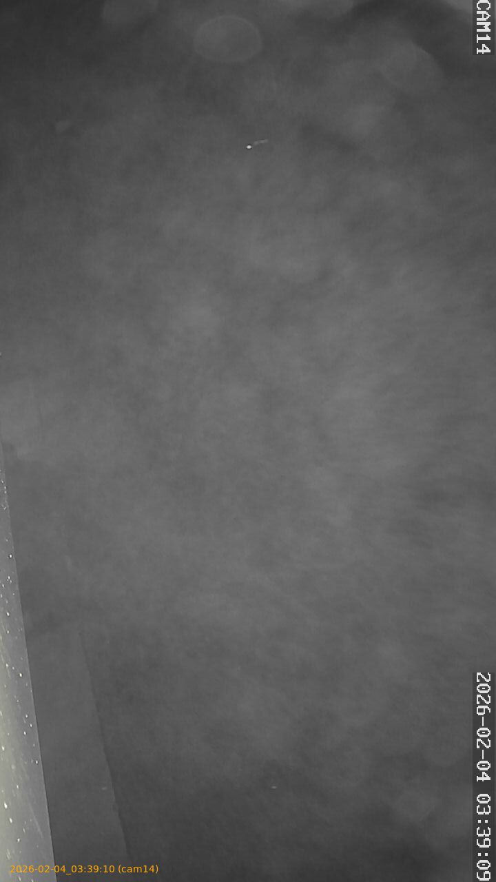 thumbnail_20260204033910