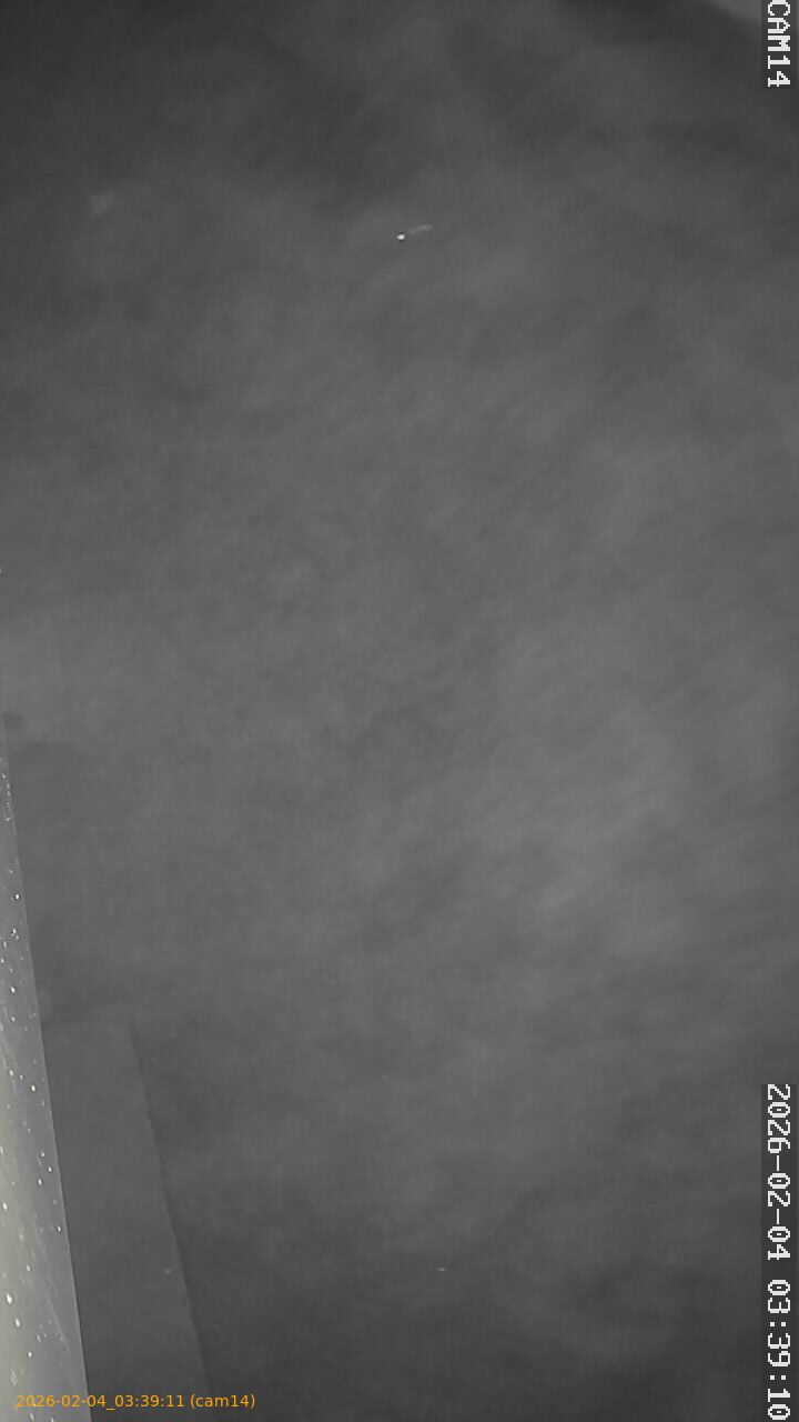 thumbnail_20260204033911