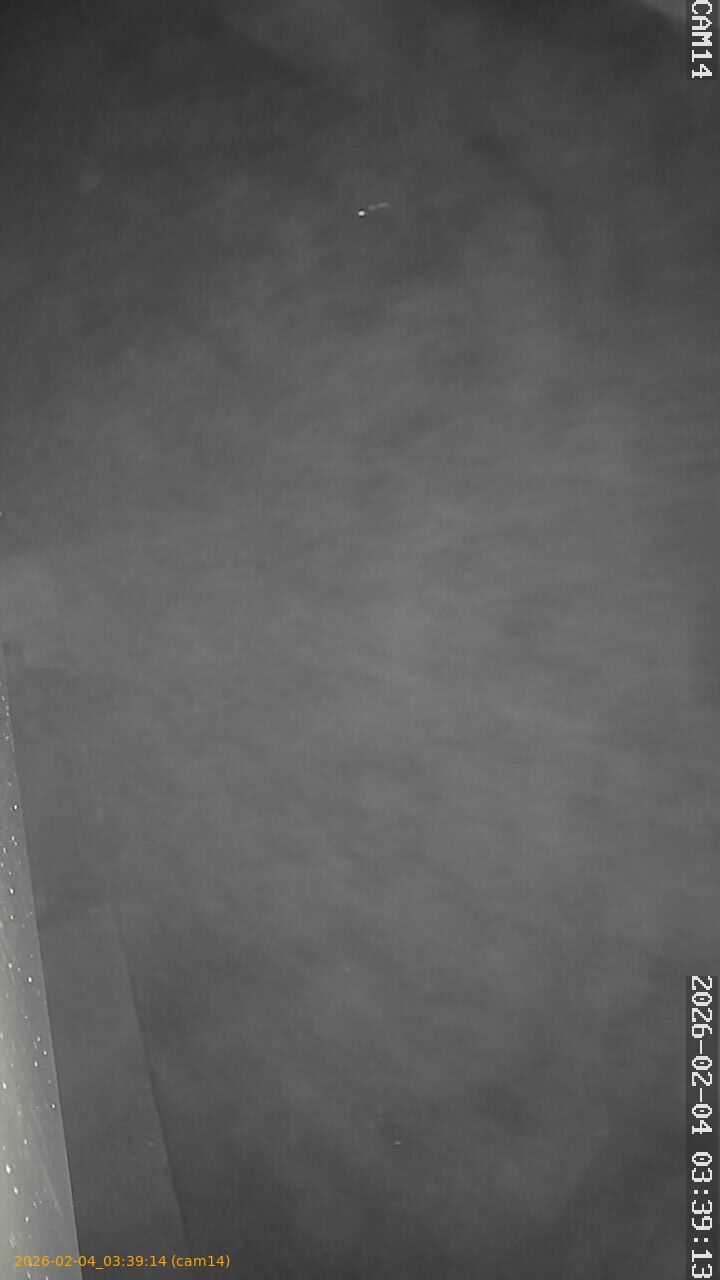 thumbnail_20260204033914