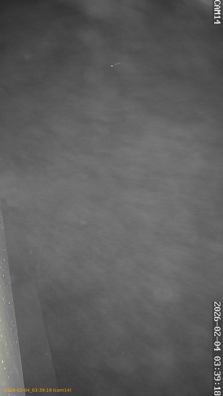 thumbnail_20260204033919