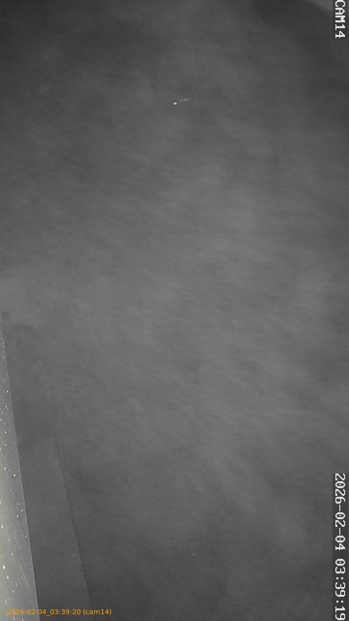 thumbnail_20260204033920