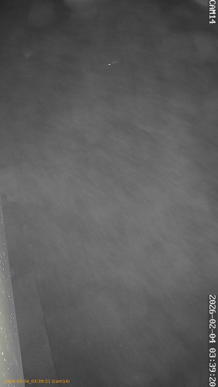 thumbnail_20260204033921