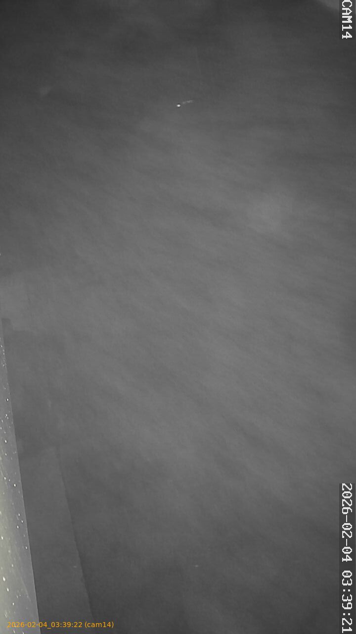 thumbnail_20260204033922