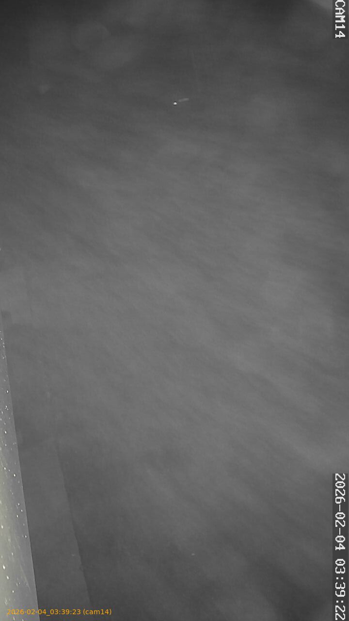 thumbnail_20260204033923