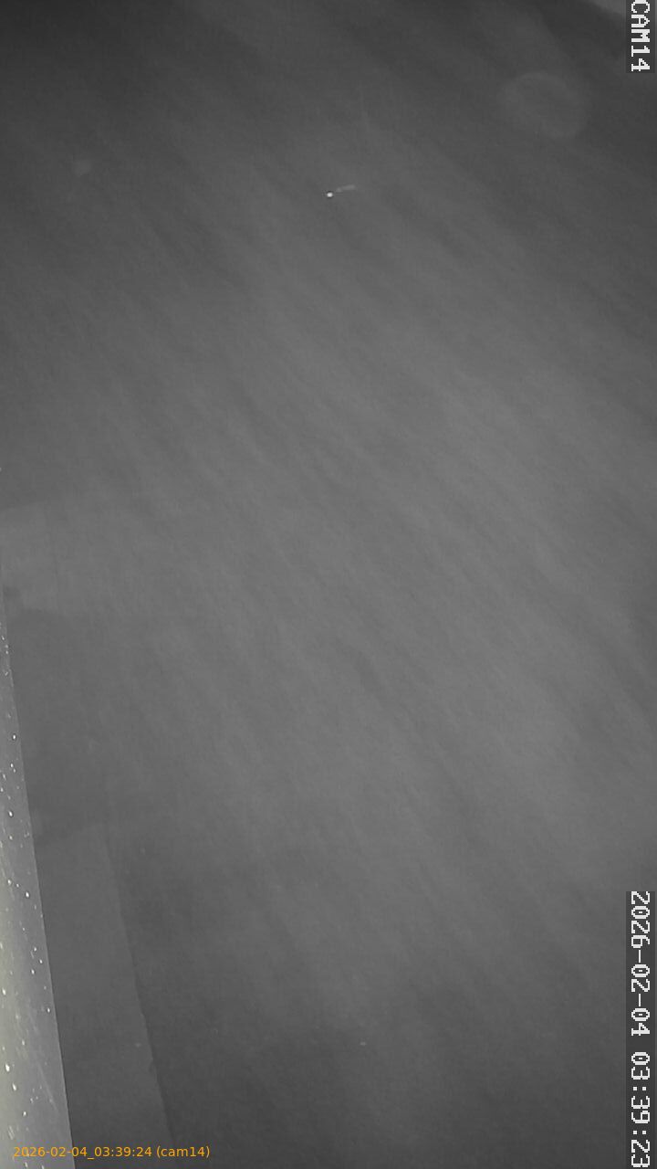 thumbnail_20260204033924