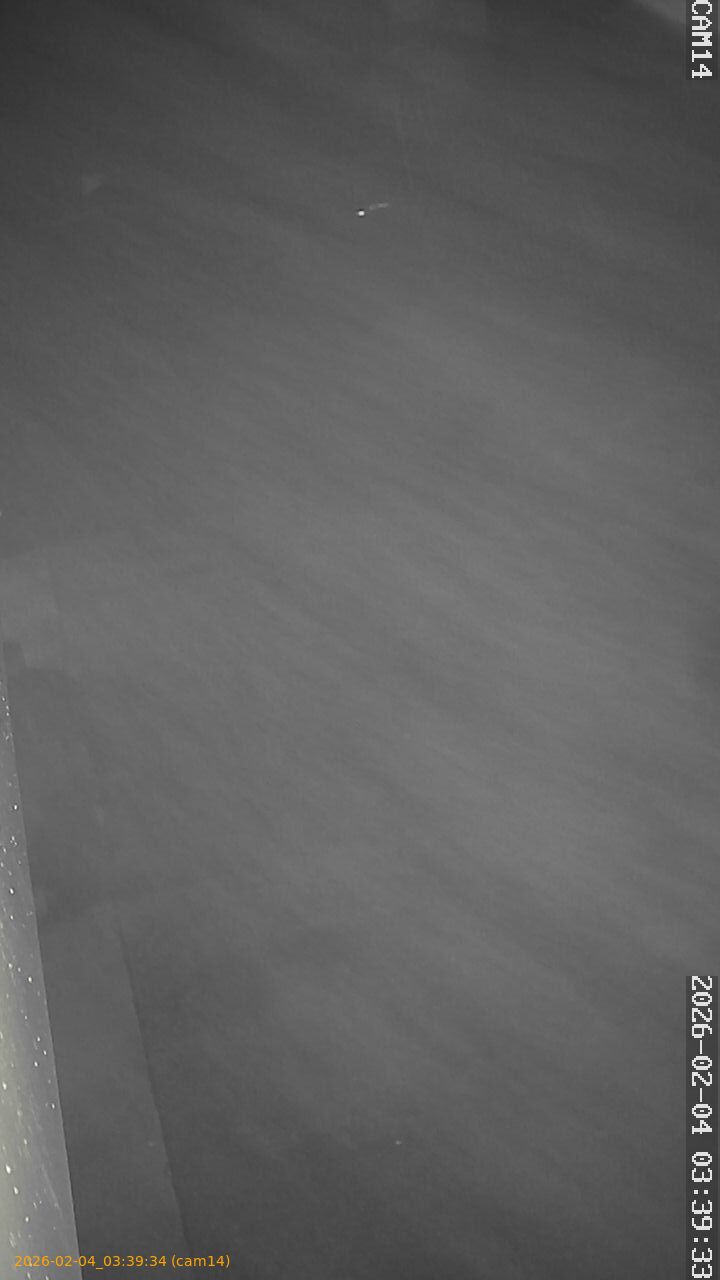 thumbnail_20260204033934