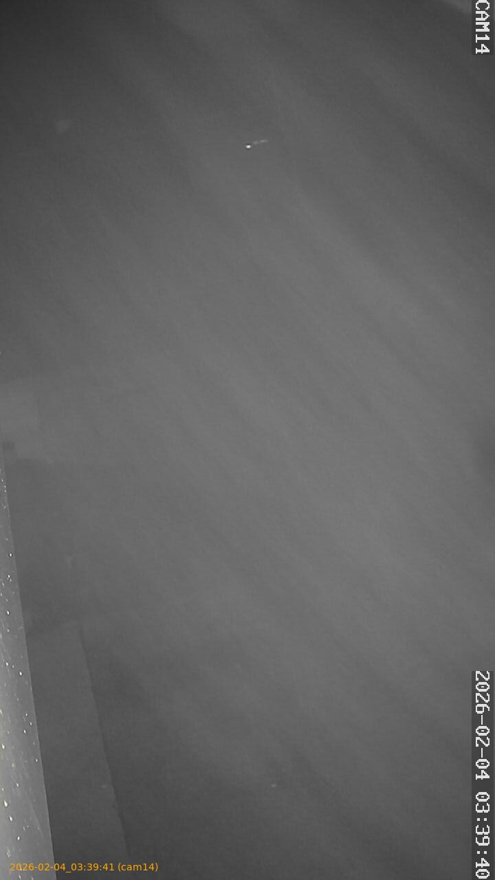 thumbnail_20260204033941