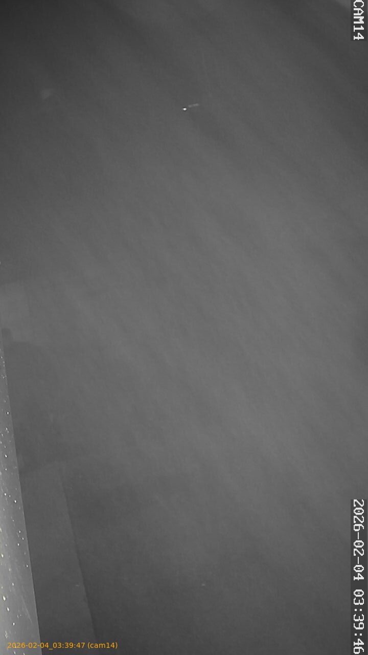 thumbnail_20260204033947