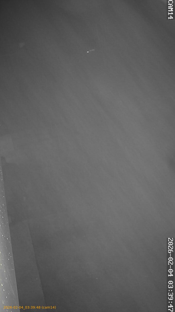 thumbnail_20260204033948