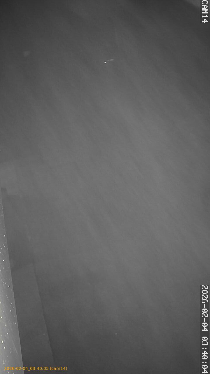 thumbnail_20260204034005