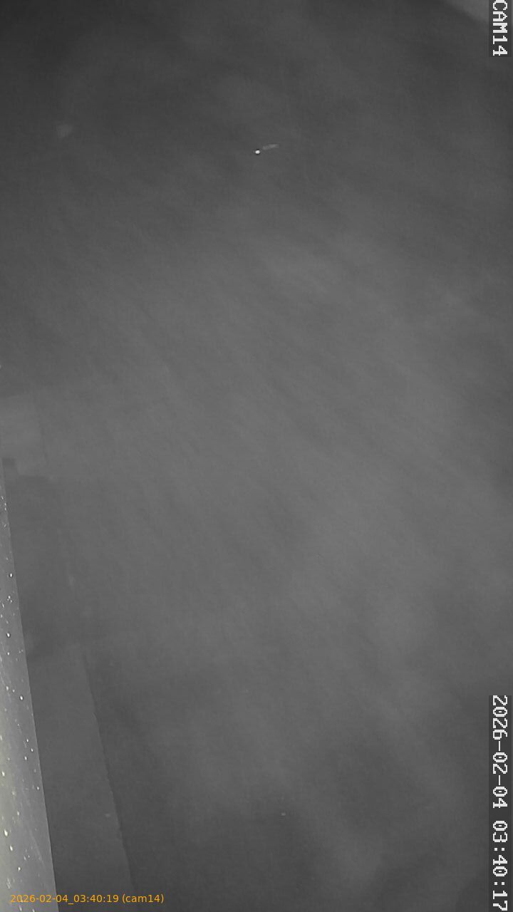 thumbnail_20260204034018