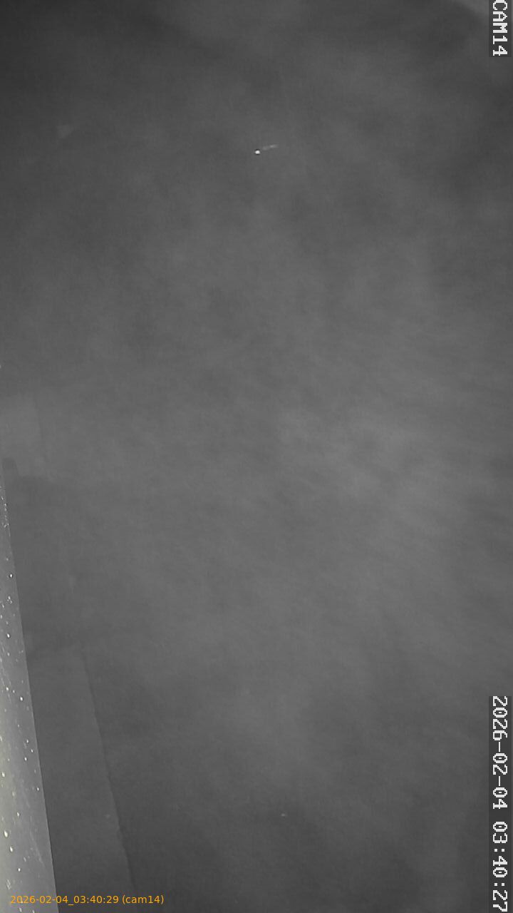 thumbnail_20260204034029