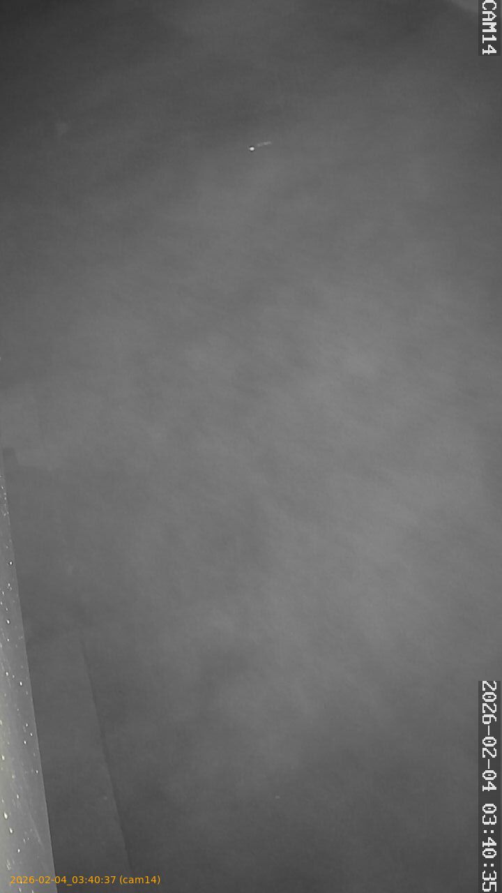 thumbnail_20260204034037