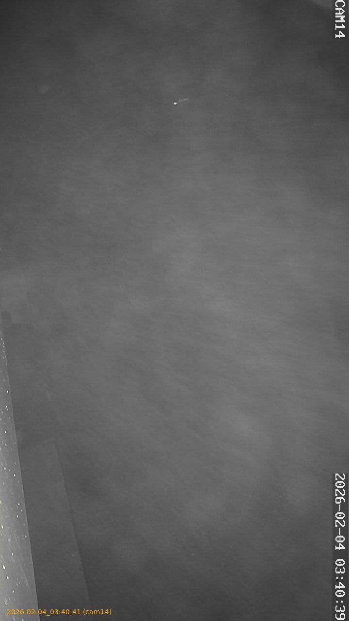 thumbnail_20260204034041