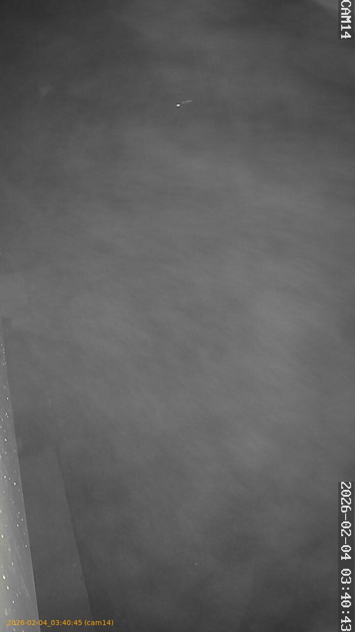 thumbnail_20260204034045