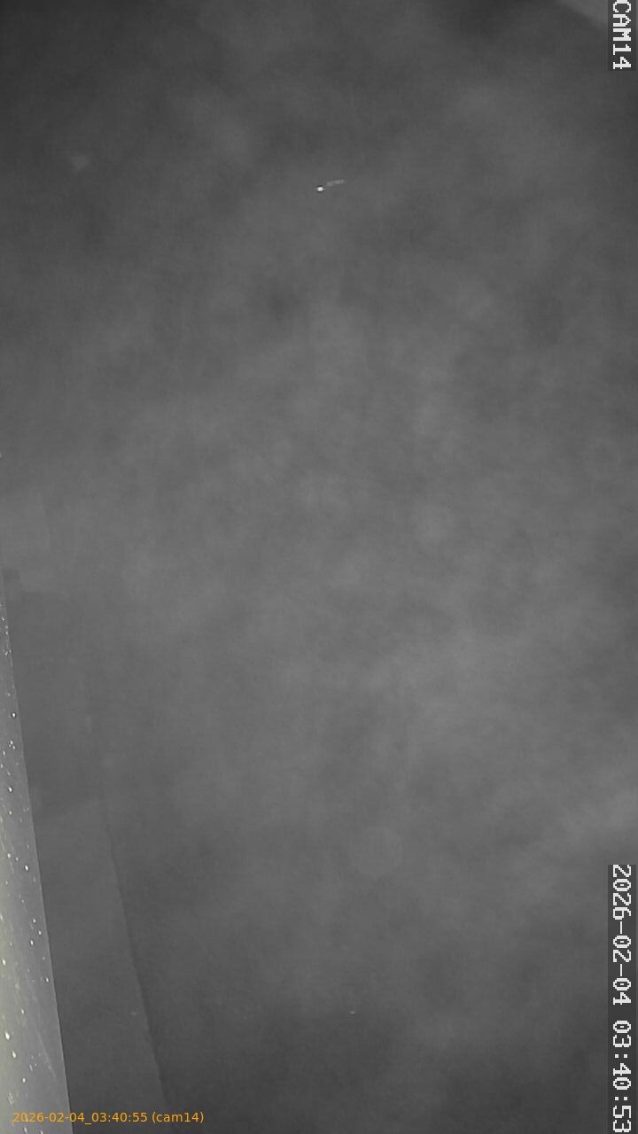 thumbnail_20260204034055