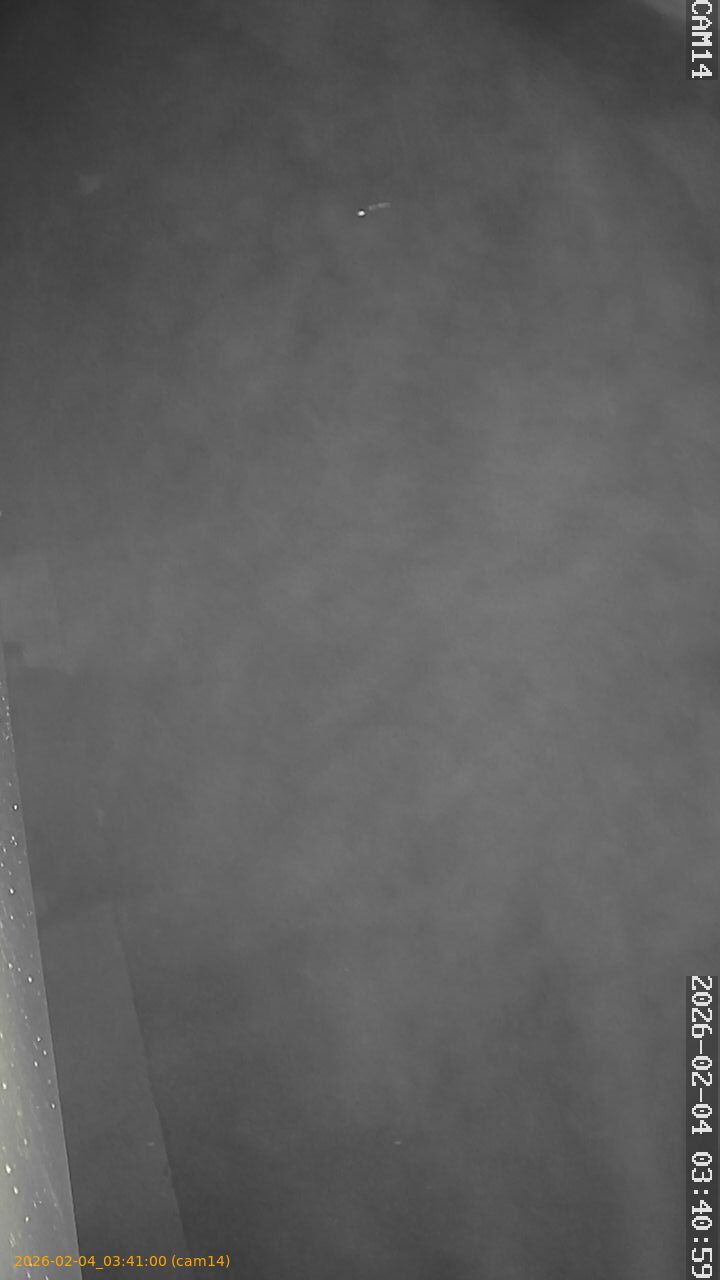 thumbnail_20260204034100