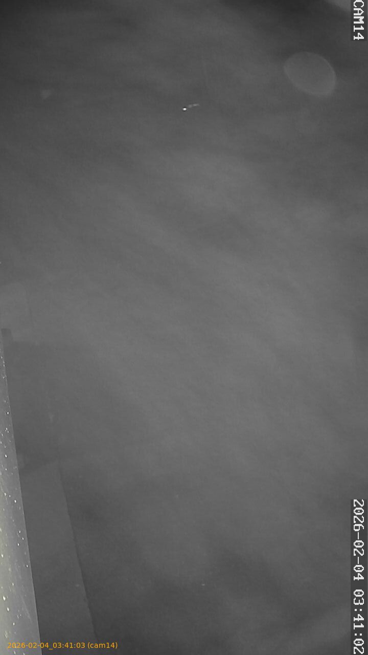 thumbnail_20260204034103